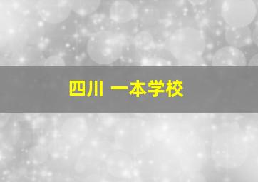 四川 一本学校